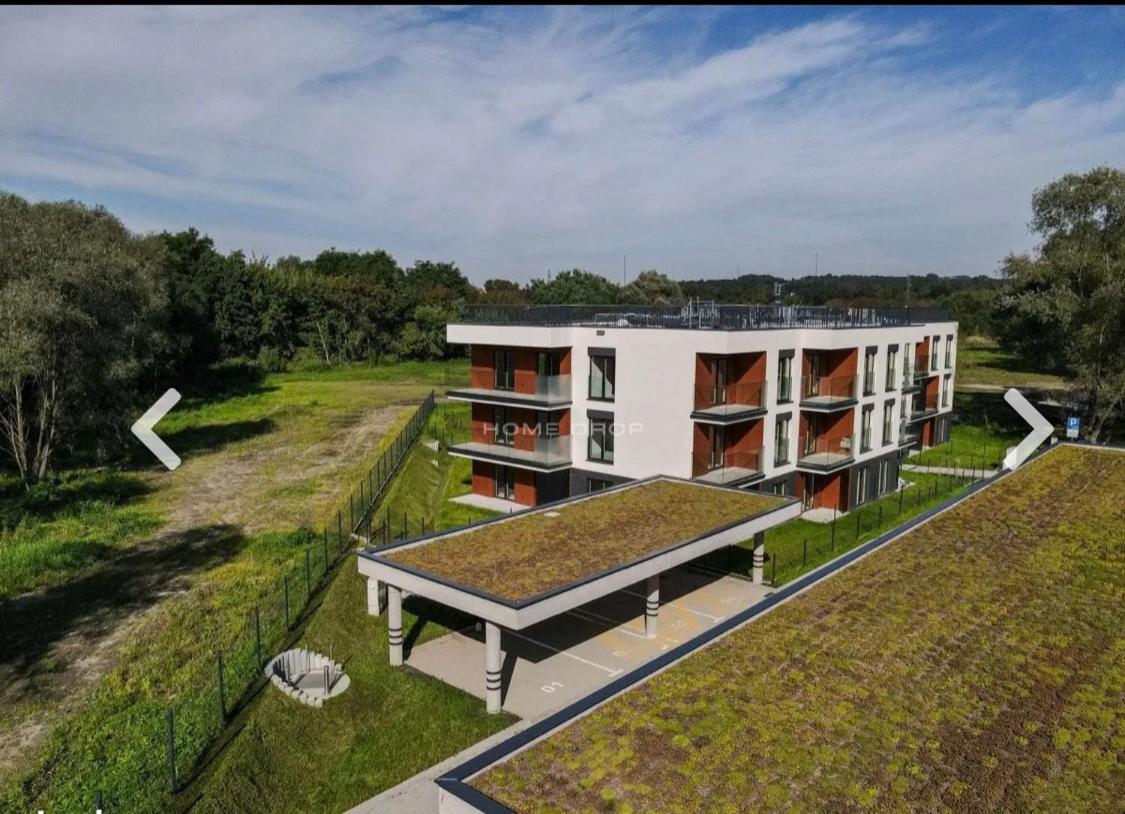 Natura Luxury Apartment Krakkó Kültér fotó